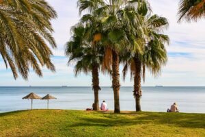 Palm trees by the coastline in Malaga, Spain