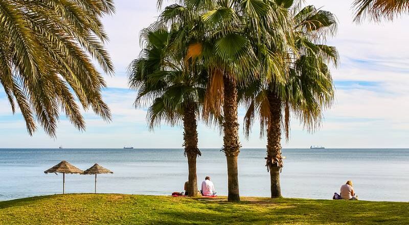 Palm trees by the coastline in Malaga, Spain
