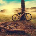 Parked mountainbike by a tree on an autumn day. Sunshine visible through the mist.