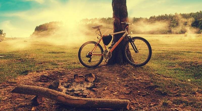 Parked mountainbike by a tree on an autumn day. Sunshine visible through the mist.