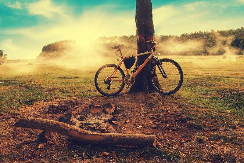 Parked mountainbike by a tree on an autumn day. Sunshine visible through the mist.