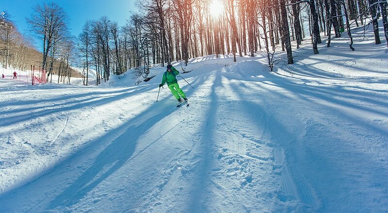 Skier seen through trees.